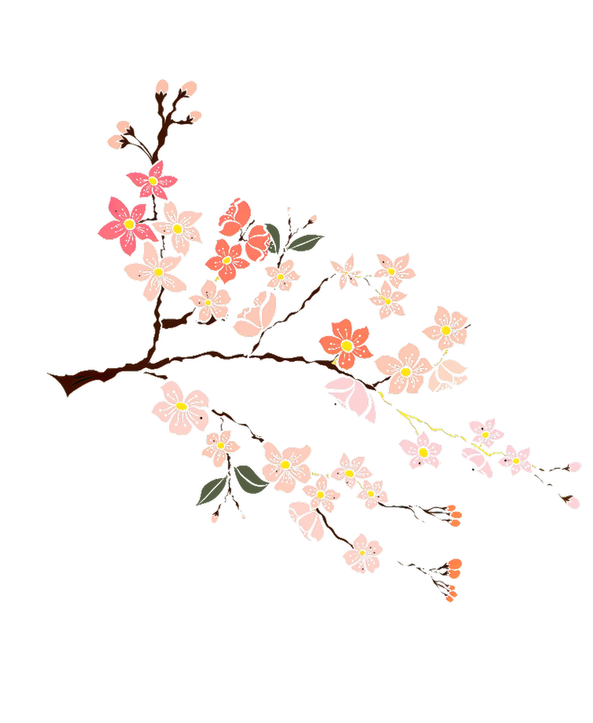 満開の桜の枝